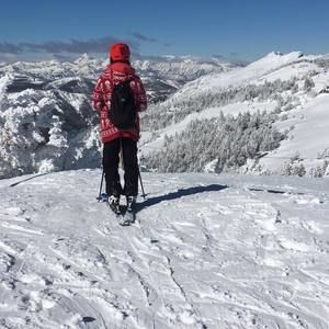 Meet your Posher, Leo